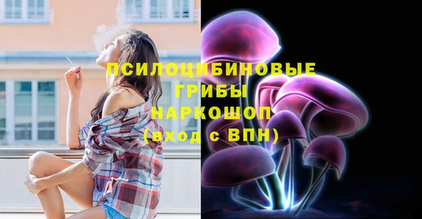 скорость Алзамай